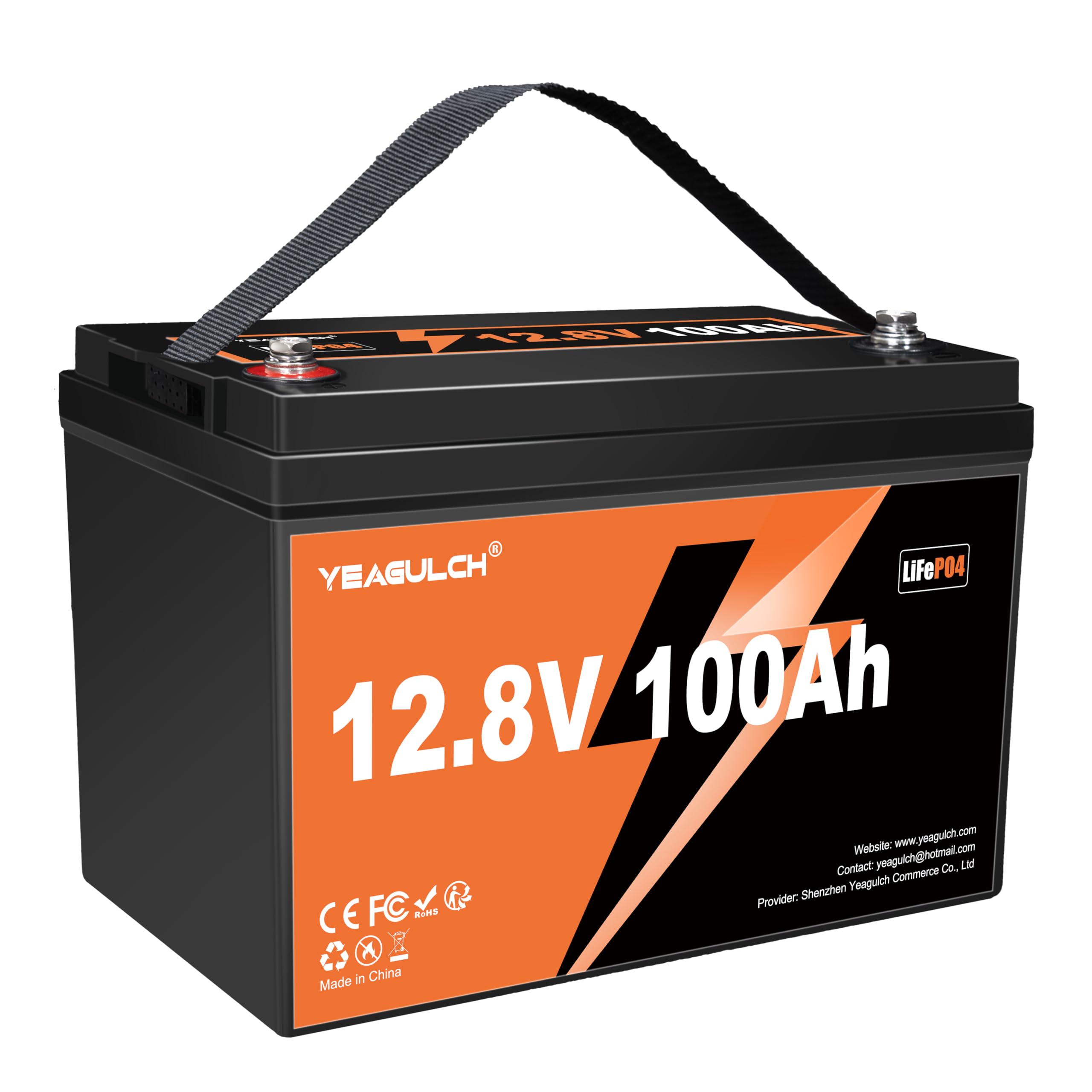 12V 100Ah LiFePO4 Lithium Battery Built-in 100A BMS 1280Wh